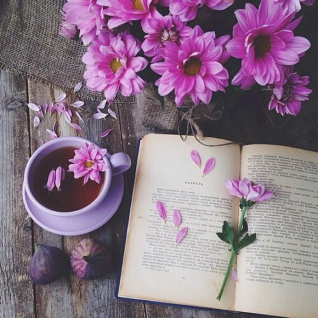 Польза не во многих, но в хороших книгах (Сенека)