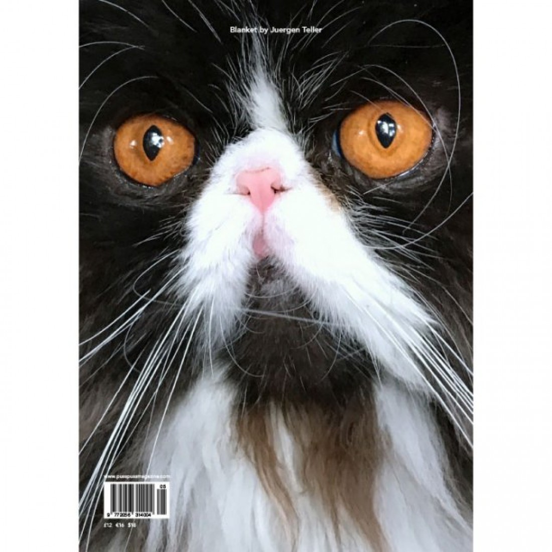 Пятый выпуск журнала PUSS PUSS