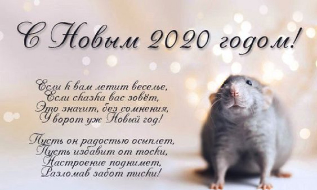 Поздравление С Новым Годом От Мышонка