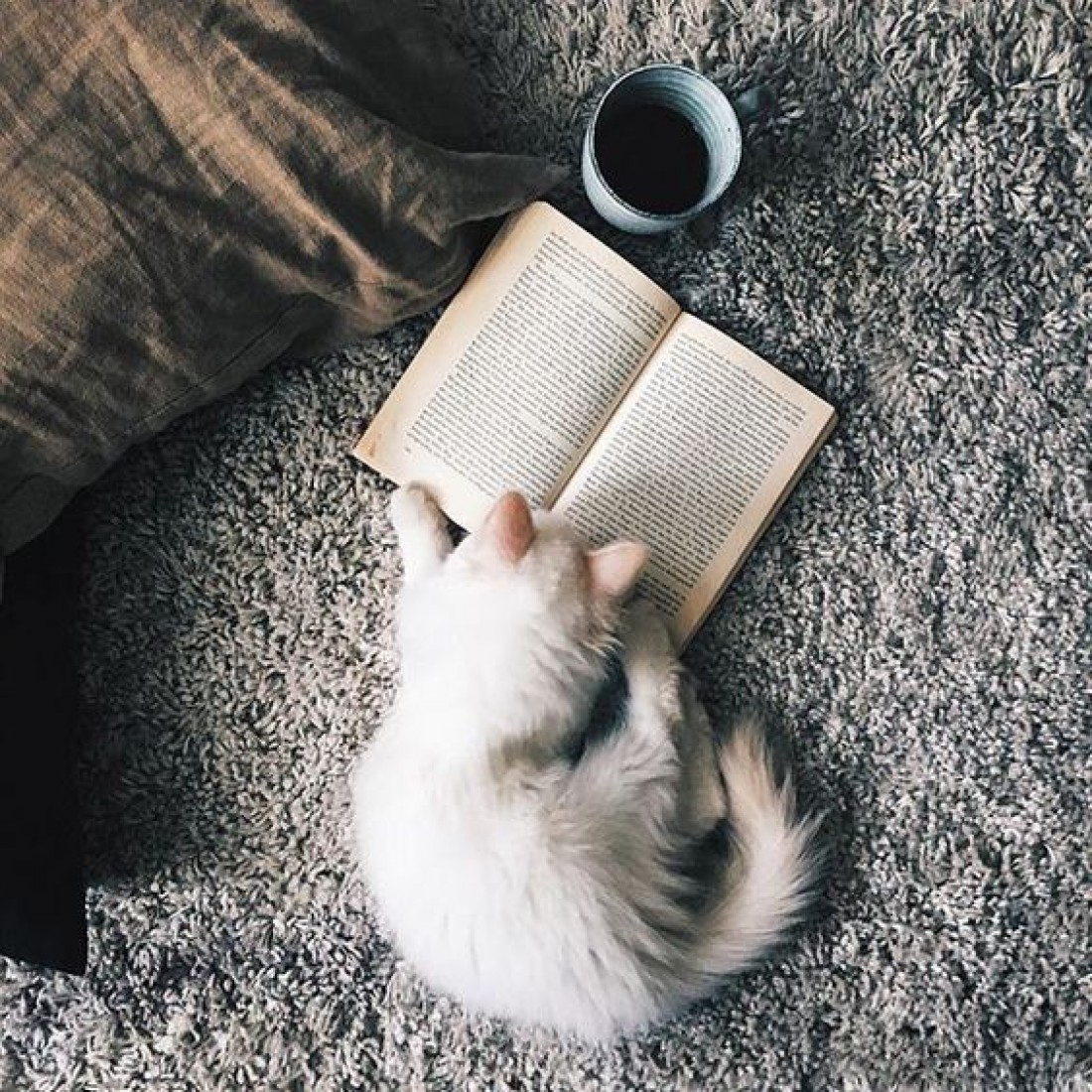 Преимущества книг