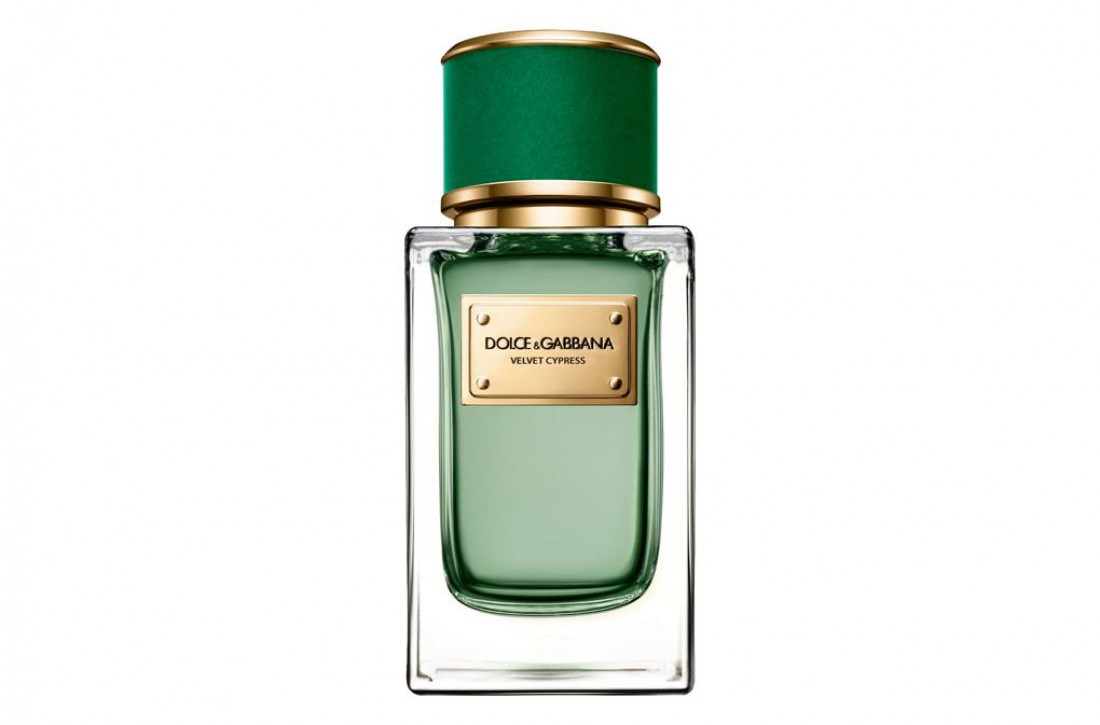 Dolce & Gabbana Velvet Cypress