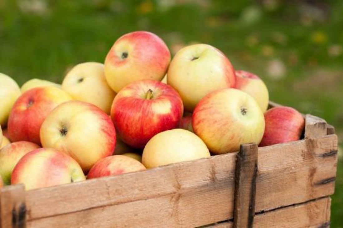 Натуральные энергетики: 5 продуктов, которые бодрят не хуже кофе