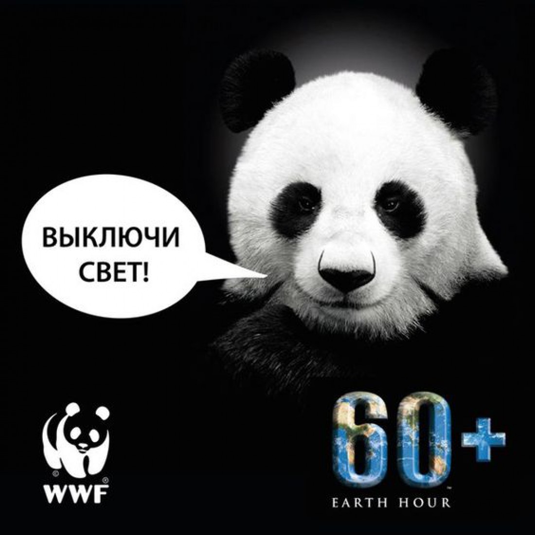 Час Земли 2020: когда по всему миру отключат свет?