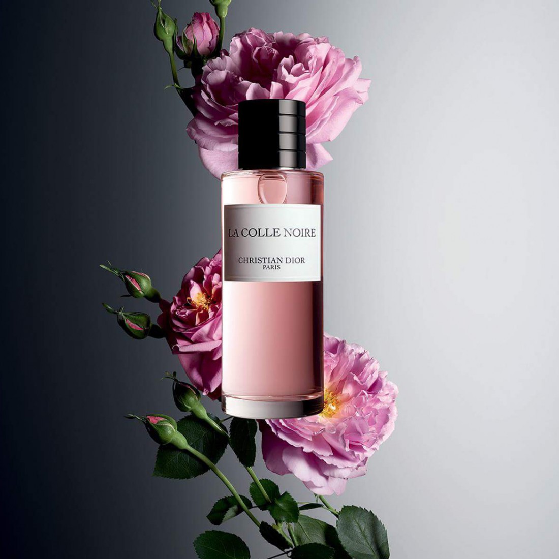 Dior La Colle Noire