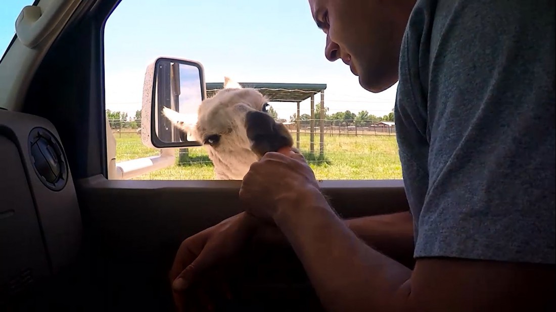Американский чекин в Кливленде