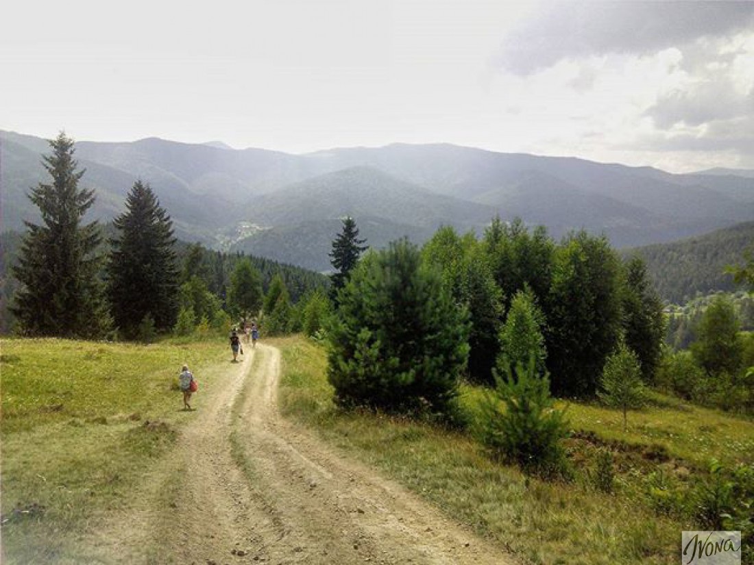 Гора Маковица