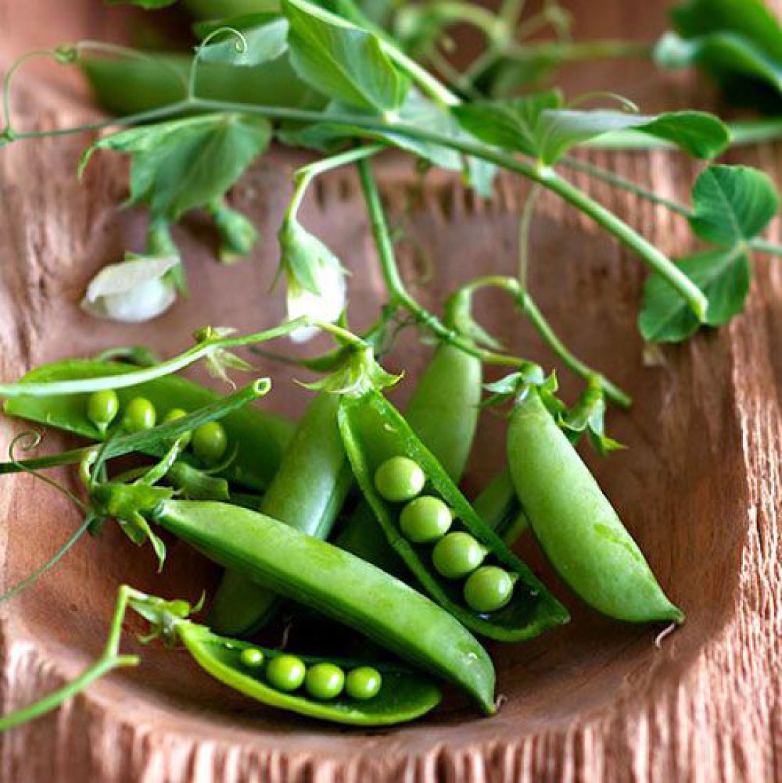 ТОП-7 продуктов с высоким содержанием клетчатки