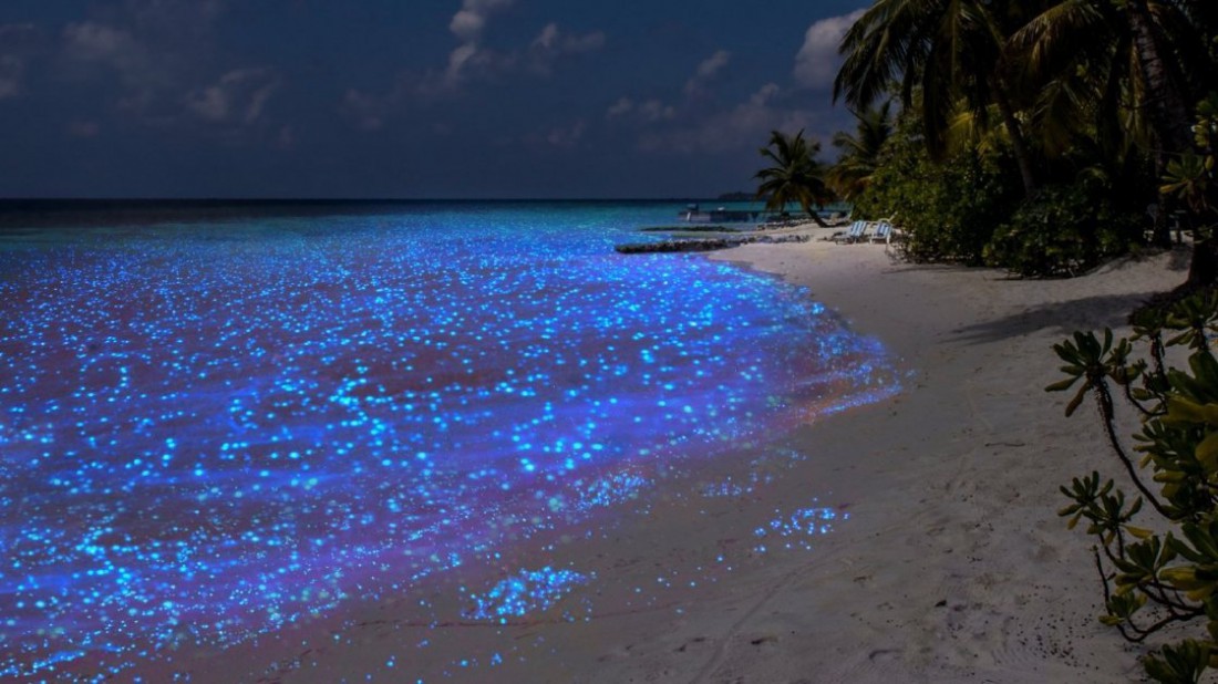 Светящаяся вода на Мальдивах