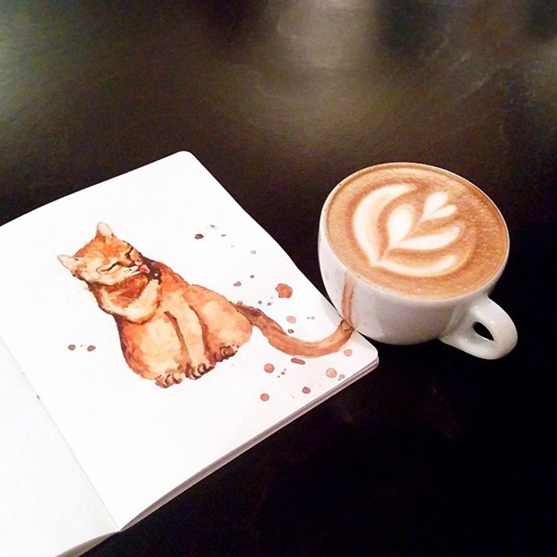 Кот из Latte