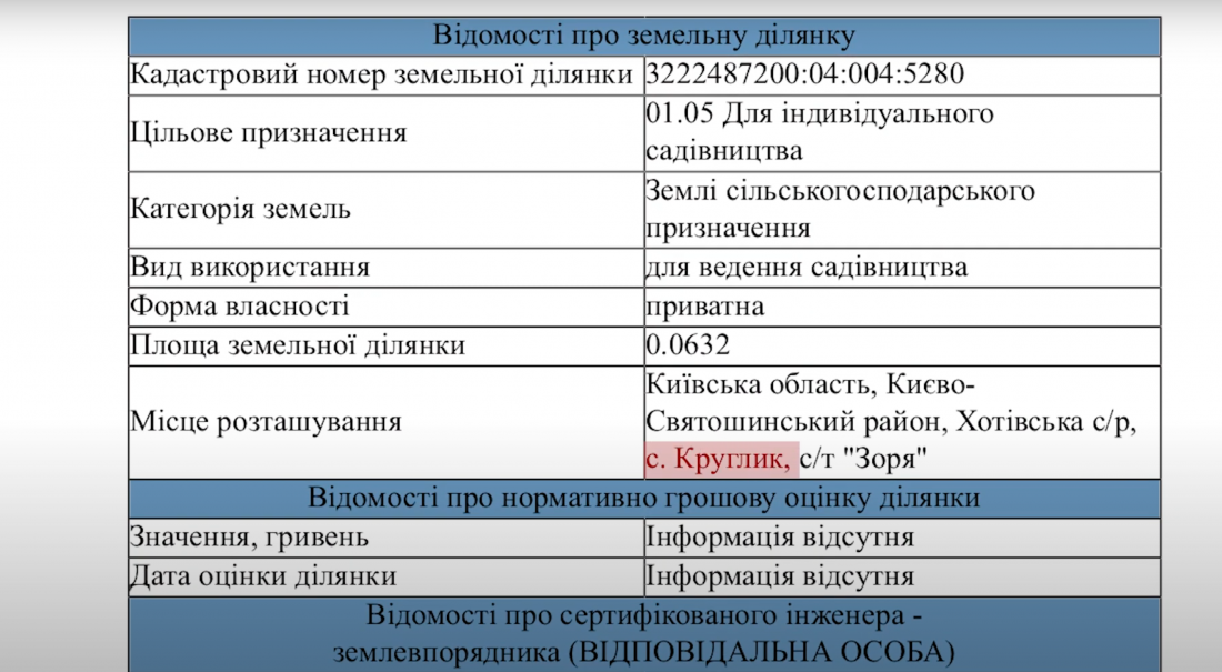 Сколько квартир у нардепа Александра Дубинского