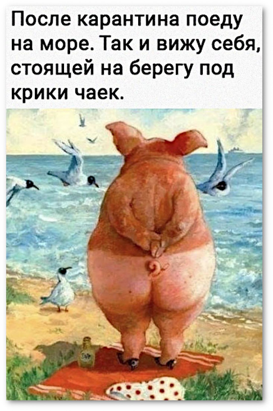 Первый день лета: смешные картинки и поздравительные открытки
