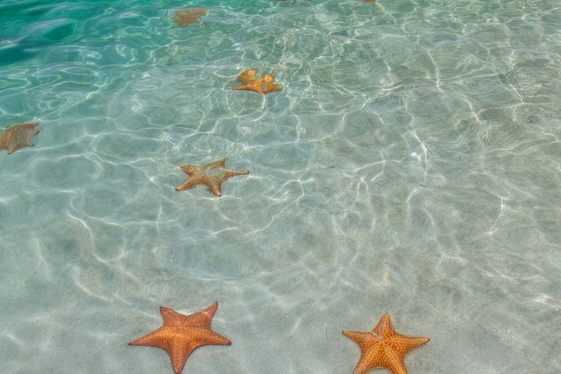 Starfish Beach, Панама