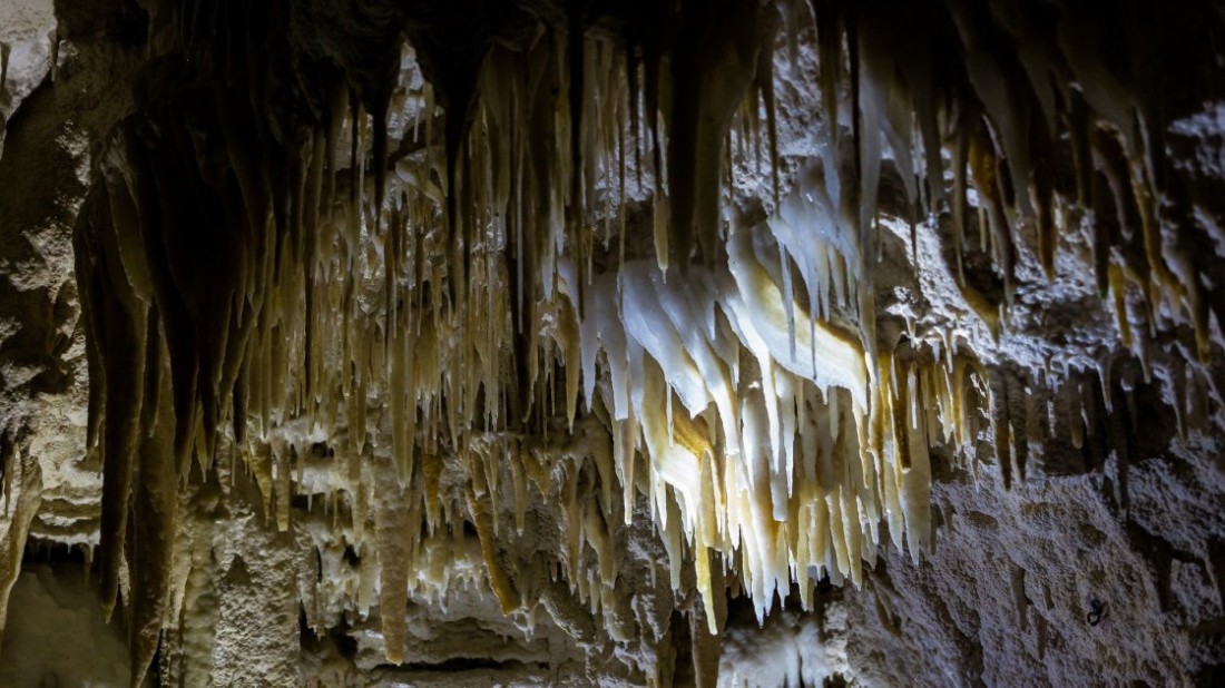 Пещеры Вайтомо, Австралия