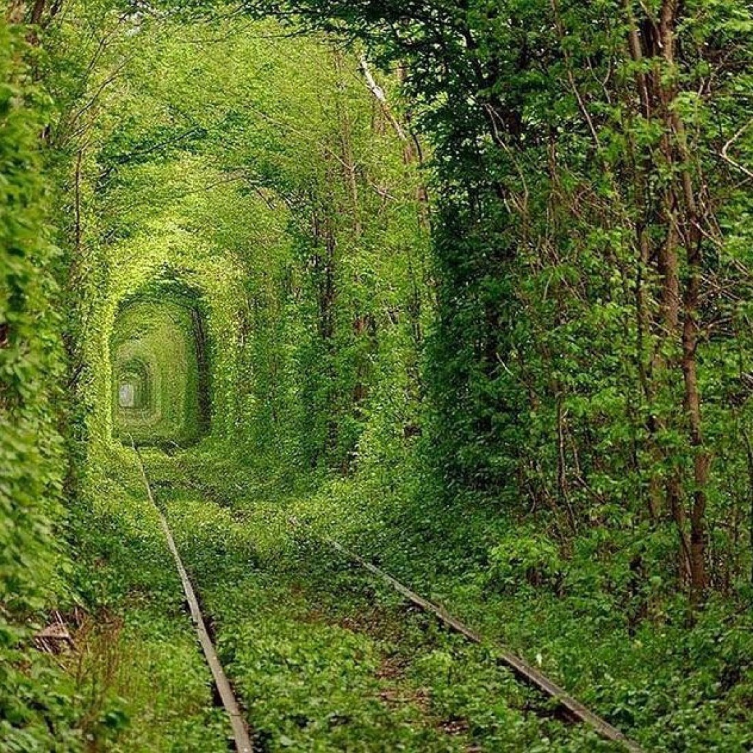 Тоннель любви