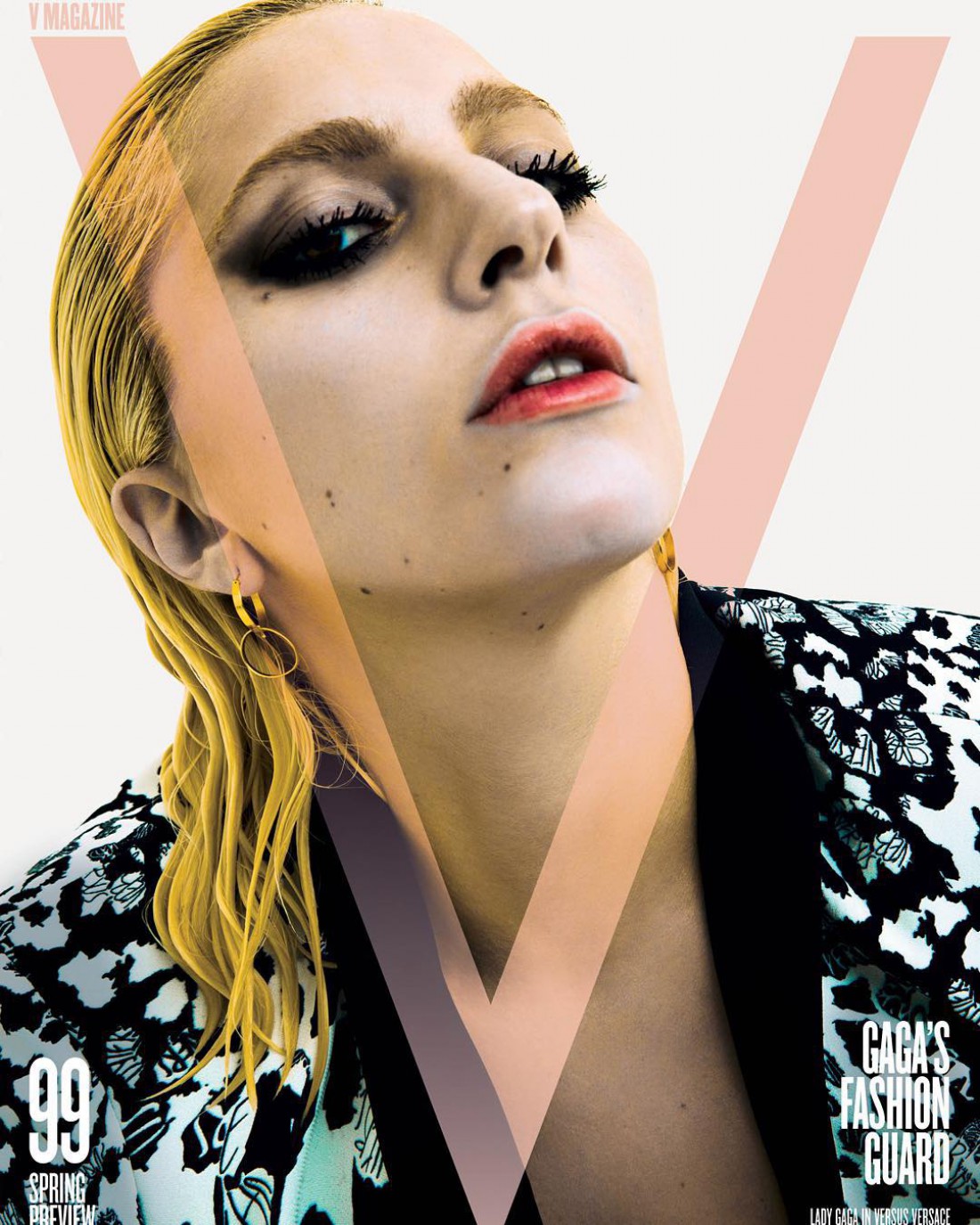 Lady Gaga на обложке журнала V Magazine