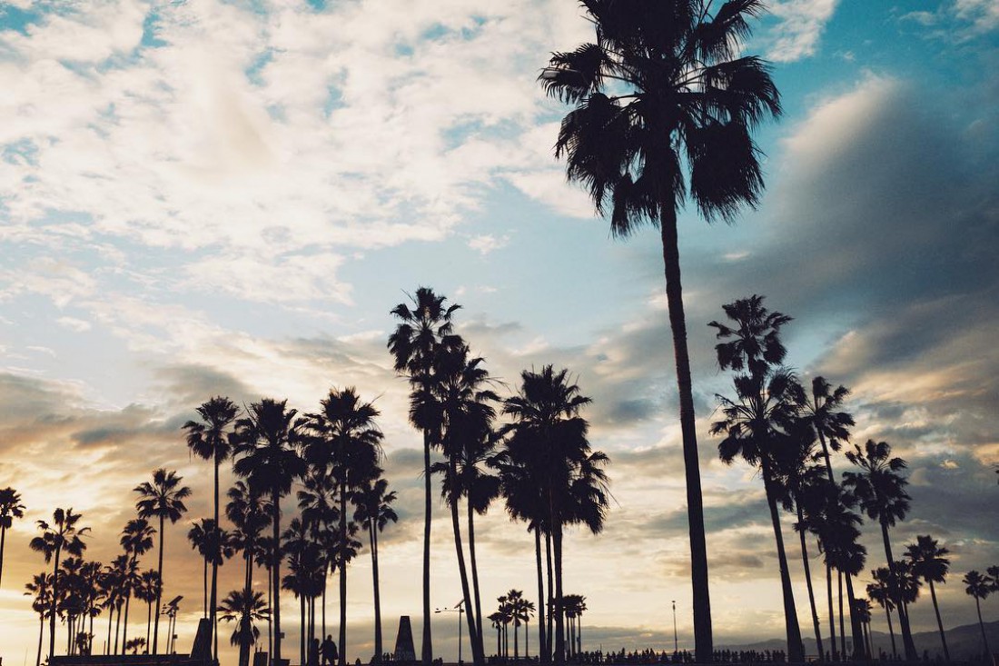 Пляж Venice Beach в Лос-Анджелесе