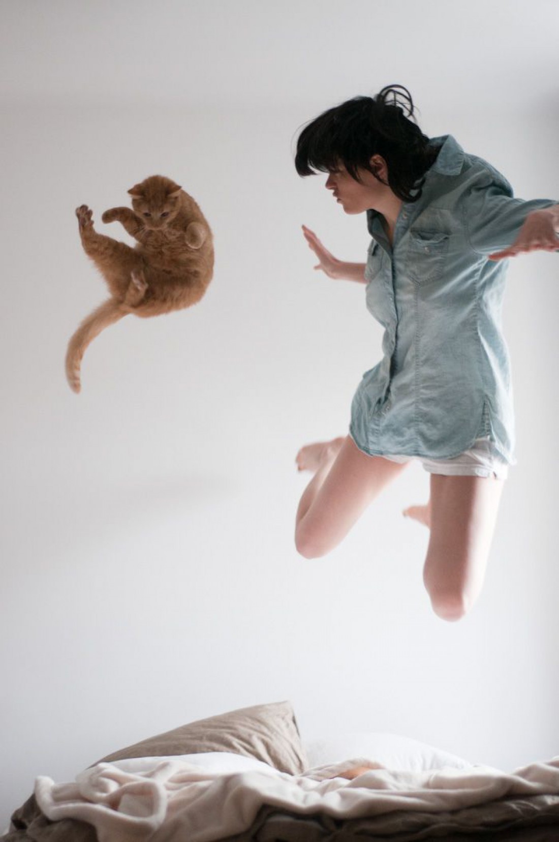 Кот – лучший домашний питомец