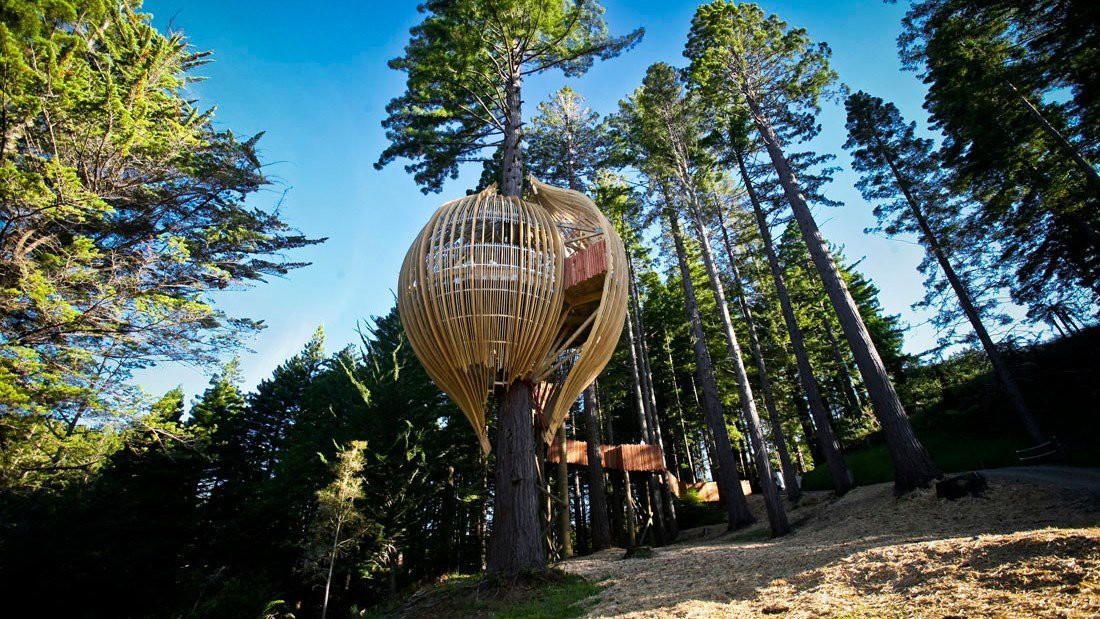 Redwood Treehouse