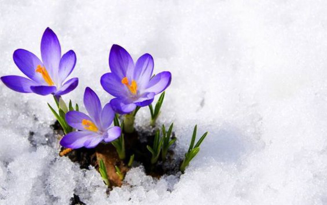 29 февраля: история, приметы, традиции