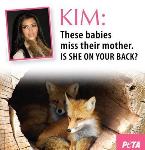 Ким на постерах PETA