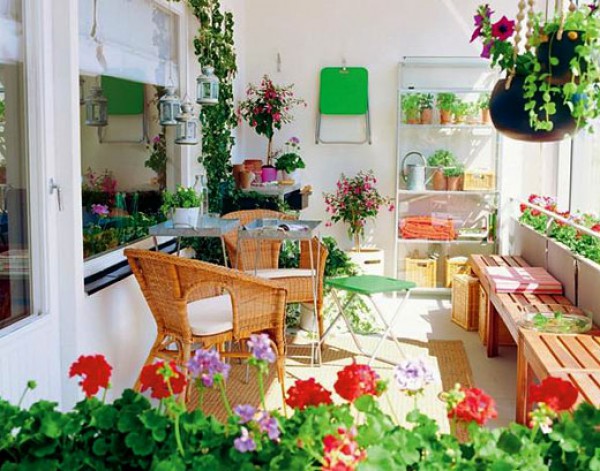 Правильный уход за комнатными цветами летом во многом определяет их состояние в осенне-зимний период.