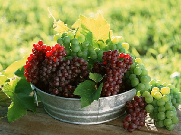 ТОП-5 самых полезных летних продуктов