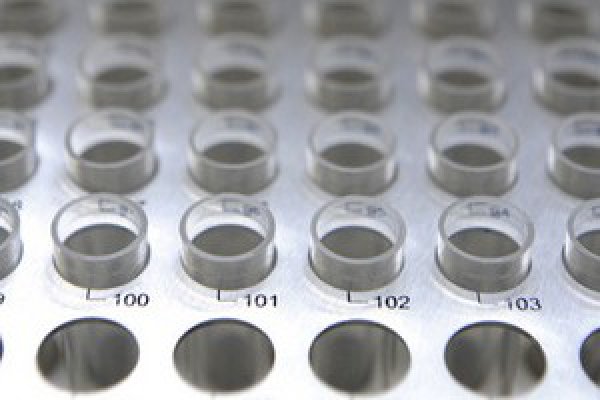 Гонококки приобрели устойчивость к множеству классов антибиотиков