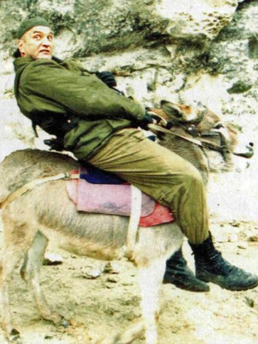 Александр Балуев