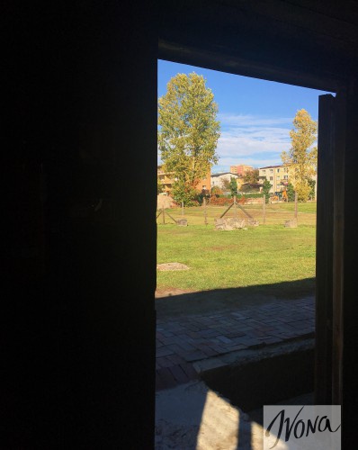 Вид из помещения с газовыми камерами