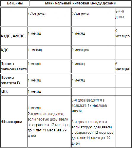 Какие прививки нужно сделать до года фото 938