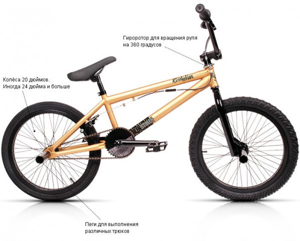 BMX