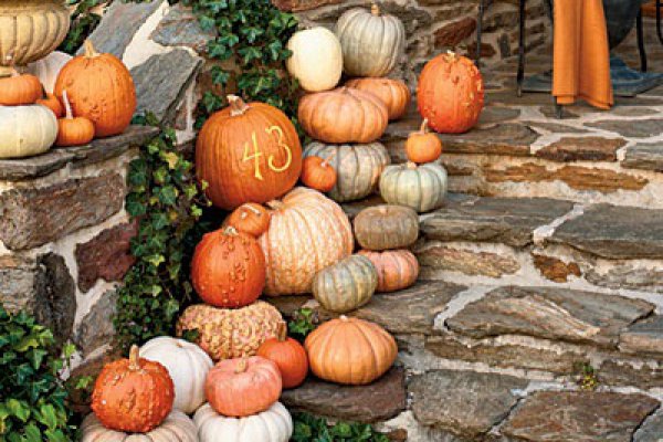 www.southernliving.com