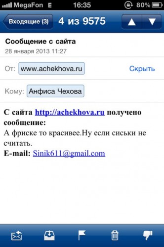 Скриншот сообщения с сайта Анфисы Чеховой