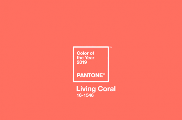 Pantone назвал самый модный цвет 2019 года