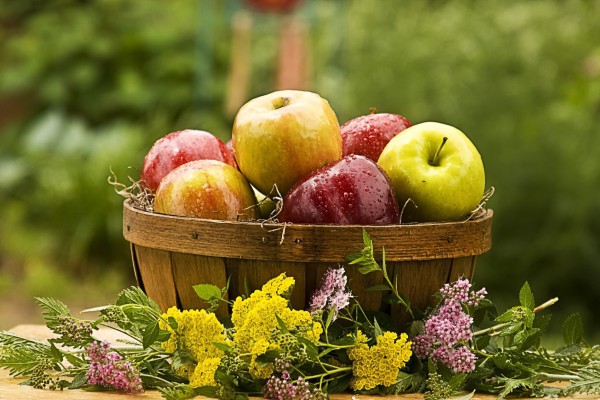 Какие продукты способствуют детоксикации организма