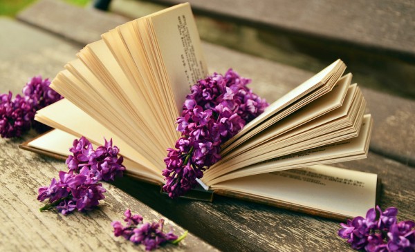 Избавляйся от неинтересных книг