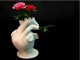 ���� � ���� ������ (Flower Pump vase). ������� �������, ��� ������ ����� ������� ������� ����� �� ����� ������. ������ ��� ����� � ���� ��������� ����� ��������� ����. ��������� � ���� ������ ����������, ������������ ����������� ������, � �� ����, ������� ������� ������ �� ��� ������� ���������. �������, ������� ����� ���������, �� ������� � �������� ������ ������, ��������� ������.