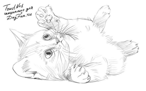 Рисуем котенка
