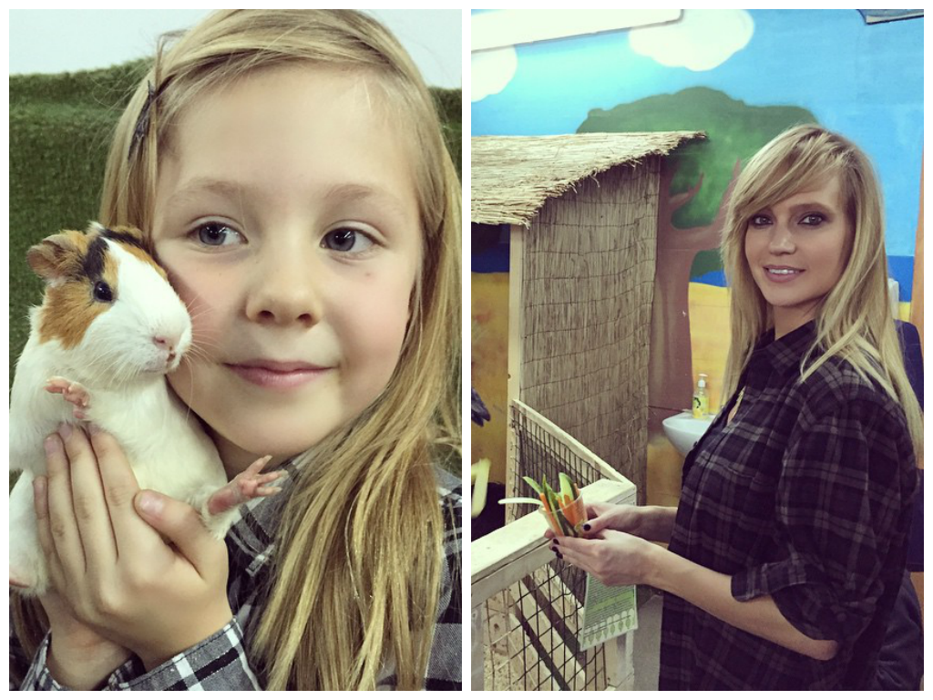 Сделайте свой день с этими забавными и милыми животными