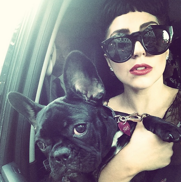 Певица Lady Gaga со своей любимицей Эйшей Кинни