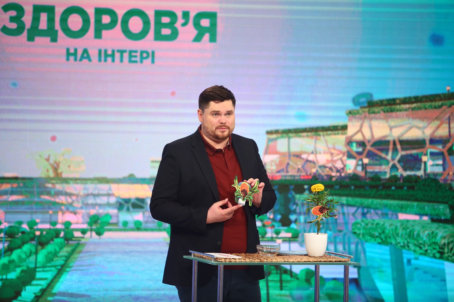 Хорошее здоровье на Интере: 5 мифов о клещах