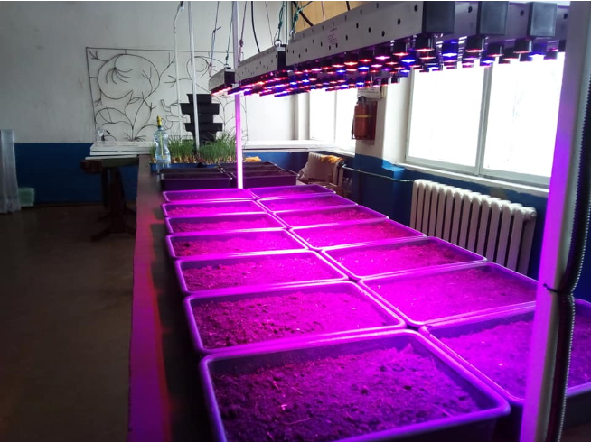 Проєкт «Agrohub «Паросток»