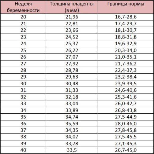 Толщина плаценты по неделям