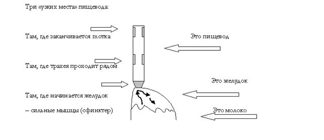 Здоровье ребенка