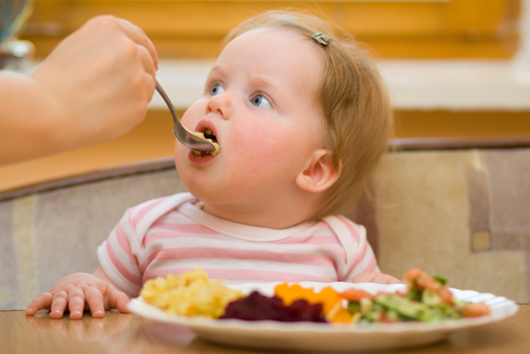 Как Правильно Кормить Ребенка Питанием