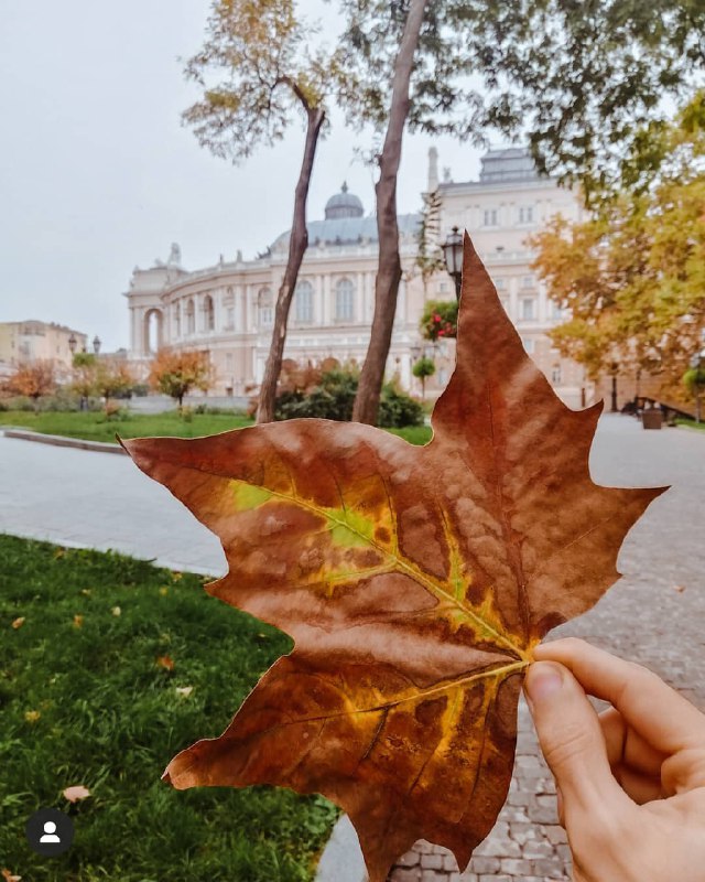 Осенняя Insta-Одесса: ТОП-3 атмосферных места для красивых фото