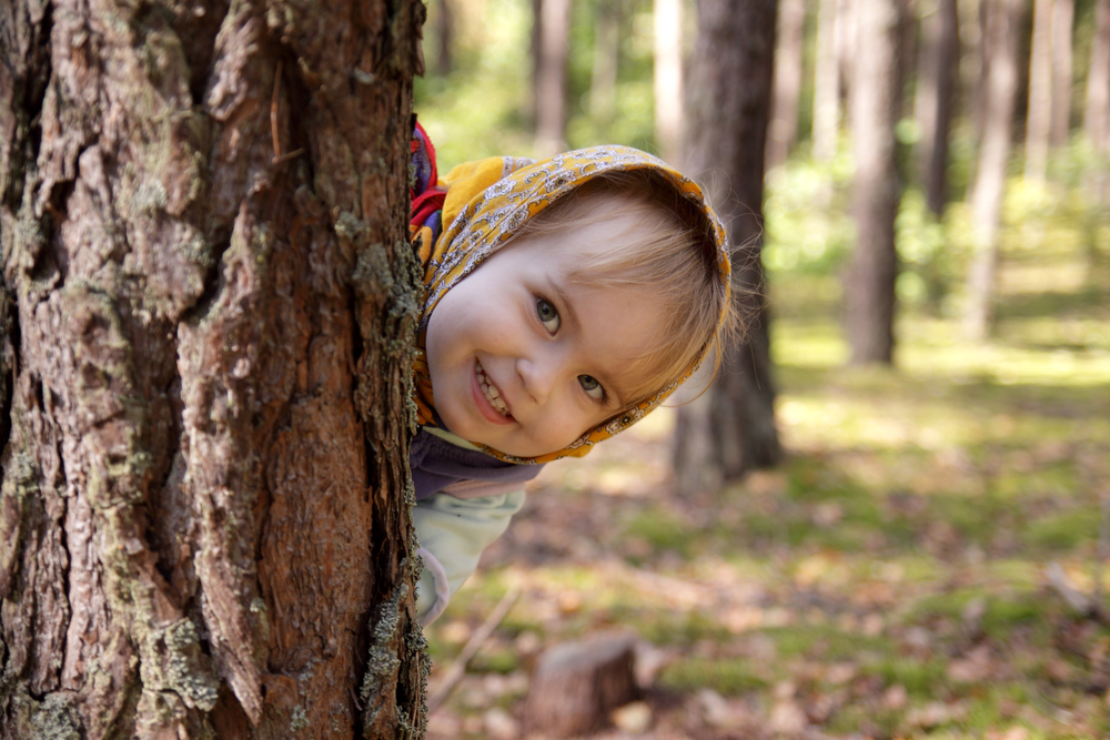 http://v.img.com.ua/b/orig/8/85/4d1f942b9389389322c6214e263d1858.jpg
