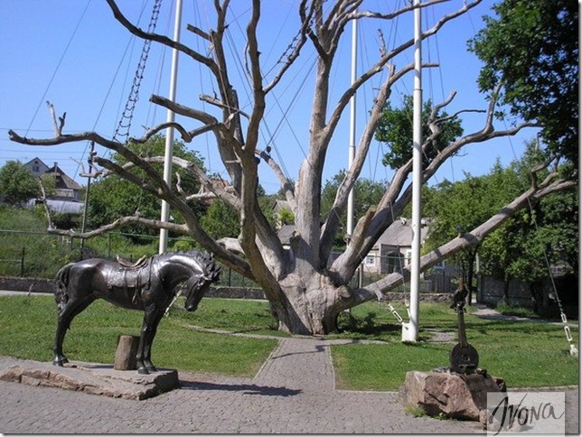100-летний дуб