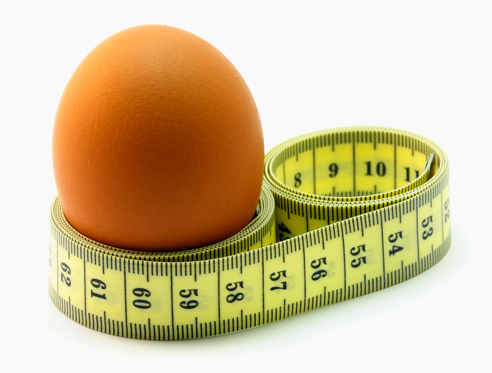 Похудеть Яйцами