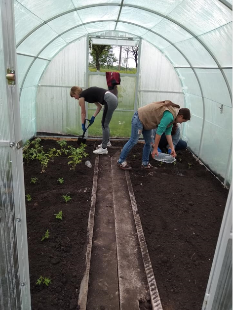Проєкт «Agrohub «Паросток»